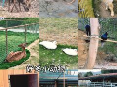 -杭州开元森泊度假乐园