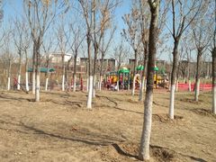 -天津东丽湖风景区