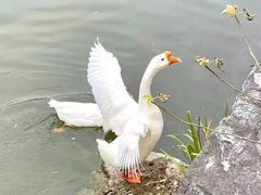 -北宫国家森林公园