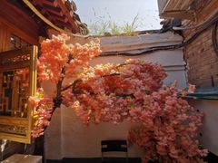 -丽江庭院之爱在路上(西单店)