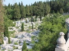 -原山国家森林公园