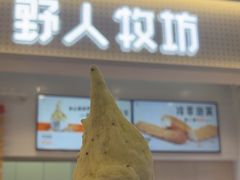 -野人先生现做冰淇淋(西安赛格店)