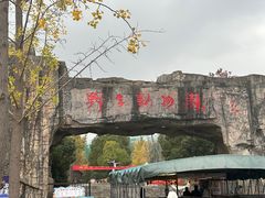 -合肥野生动物园