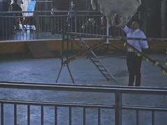 -泉州海丝野生动物世界