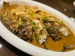 -福来齐·鲁菜海鲜·渔家菜(朝阳街分店)