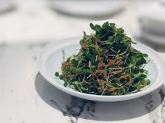 -喜鼎海胆水饺(柏威年购物中心店)