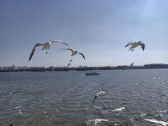 -海埂大坝