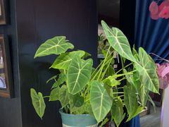 -观盐·盐帮菜(官园桥店)