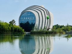 -泗洪洪泽湖湿地景区