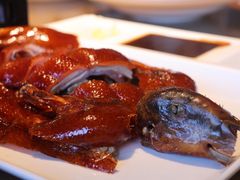 -滇铺子•云南特色菜•野生菌季(南亚福景路·海埂大坝店)