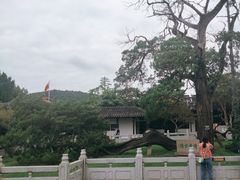 -司徒庙