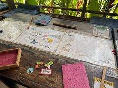 -大象粑粑造纸公园