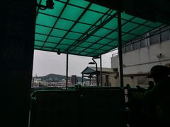 -长洲岛