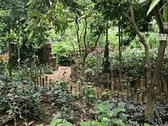 -北京呀路古热带植物园