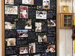 -小时光咖啡馆(开森度假森林店)