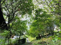 -上海佘山国家森林公园天马山园