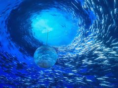 -上海海昌海洋公园
