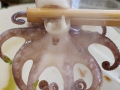 -大连海鲜斑鱼火锅(安平店)