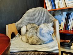 -不舍昼夜咖啡馆