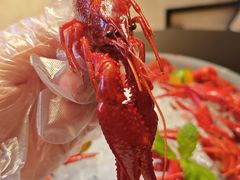 -上海苏宁宝丽嘉酒店·嘉府壹号中餐厅