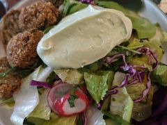 -ELI FALAFEL Lebanese&Mediterranean黎巴嫩美食(富城路店)