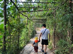 -井塘古村
