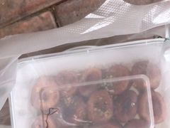 -金记大肠(瑞昌路店)