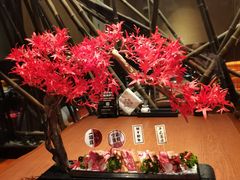M9和牛枫叶盛合-赤坂亭 M9和牛烧肉(水街店)