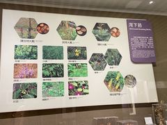 -北京中医药大学-中医药博物馆