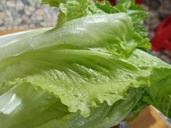 -老东北烤肉(金山店)
