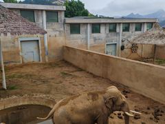 -西霞口神雕山野生动物世界
