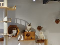 -听TA说宠咖·宠物生活馆(天韵水岸店)