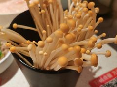 -海底捞火锅(凤凰广场店)