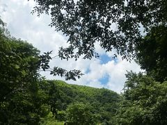 -藏龙百瀑风景区