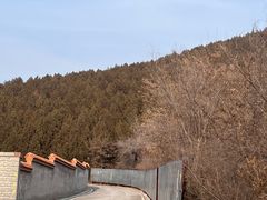 -唐指山风景区