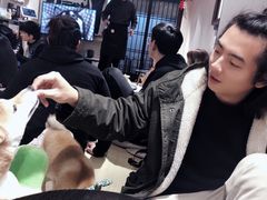 -逗柴咖啡屋·狗咖猫咖宠物桌游