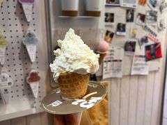 -野人先生现做冰淇淋(北京顺义祥云小镇店)