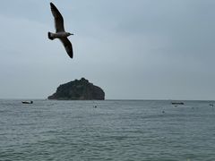 -棒棰岛宾馆景区