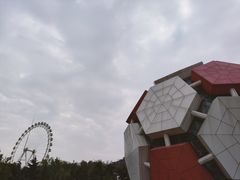 -富斯特索道