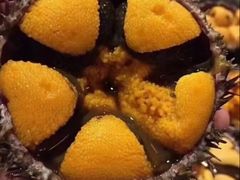 -和·铁板烧·OMAKASE(望京昆泰嘉晟酒店)