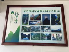 -龙湾潭国家森林公园