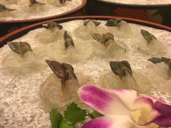 -沙龙酒家