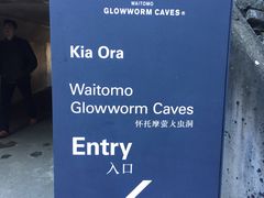 -怀托摩萤火虫洞