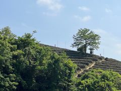 -龙坞茶村
