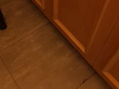 -胡家大厨(西三庄店)