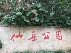 -仙岳公园