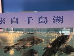 -鸽子侯·家宴·平价海鲜(市图书馆店)