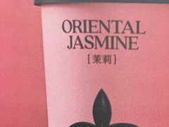 -茉莉奶白(广州动漫星城店)