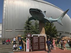 -烟台海昌鲸鲨海洋公园