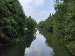 -昆山城市生态森林公园